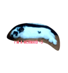 princess's little rabbit（個別スタンプ：10）