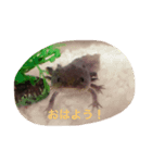 うーぱーさま（個別スタンプ：1）