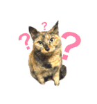 サビ猫メルの日常（個別スタンプ：7）