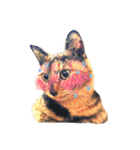 サビ猫メルの日常（個別スタンプ：27）