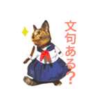 サビ猫メルの日常（個別スタンプ：30）