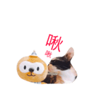 DODO is akitten（個別スタンプ：3）