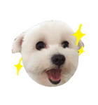 My name is Momotaro（個別スタンプ：3）