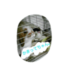 うさぎのたんぽぽ（個別スタンプ：14）