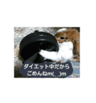 うさぎのたんぽぽ（個別スタンプ：16）