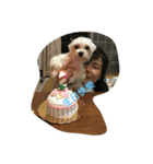 doggie ding（個別スタンプ：3）