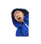 so qute yon hon（個別スタンプ：4）