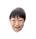 so qute yon hon（個別スタンプ：12）