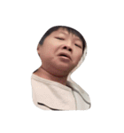 so qute yon hon（個別スタンプ：14）