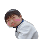 so qute yon hon（個別スタンプ：16）