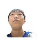 so qute yon hon（個別スタンプ：29）
