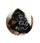 わんわん大好き（個別スタンプ：4）
