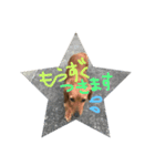 わんわん大好き（個別スタンプ：7）