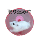 ちびた(ハムスター)（個別スタンプ：2）