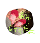 erieri（個別スタンプ：7）