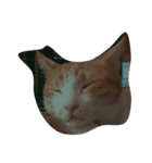 lazy dog lazy cat lazy kid（個別スタンプ：5）