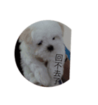 Money lifestyle（個別スタンプ：7）