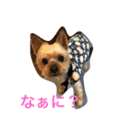 らぶり〜❤️ココ（個別スタンプ：1）