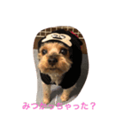 らぶり〜❤️ココ（個別スタンプ：3）