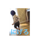 かえで専用2（個別スタンプ：3）