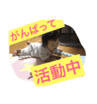 いおっちスタンプ2（個別スタンプ：1）