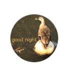 good night  stamp 癒しのおやすみスタンプ（個別スタンプ：10）