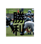 RASACALSです。（個別スタンプ：10）