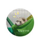 つきみとあずき。ときどきもなか（個別スタンプ：8）