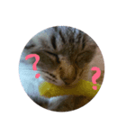 YUME^._.^（個別スタンプ：1）