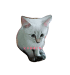 YUME^._.^（個別スタンプ：7）