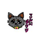 チワワのティアラちゃん（個別スタンプ：5）