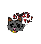 チワワのティアラちゃん（個別スタンプ：7）