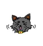 チワワのティアラちゃん（個別スタンプ：8）