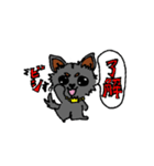 チワワのティアラちゃん（個別スタンプ：9）