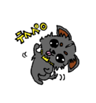 チワワのティアラちゃん（個別スタンプ：21）
