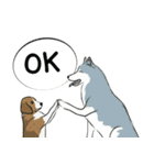 Soi Dog (EN)（個別スタンプ：3）