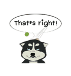 Soi Dog (EN)（個別スタンプ：4）