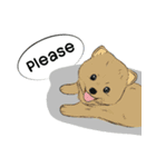 Soi Dog (EN)（個別スタンプ：6）