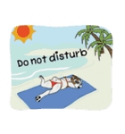 Soi Dog (EN)（個別スタンプ：7）
