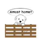 Soi Dog (EN)（個別スタンプ：10）