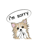 Soi Dog (EN)（個別スタンプ：13）