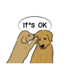 Soi Dog (EN)（個別スタンプ：14）