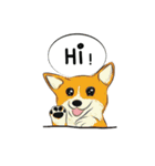 Soi Dog (EN)（個別スタンプ：16）