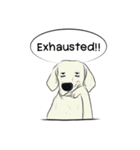 Soi Dog (EN)（個別スタンプ：17）