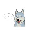 Soi Dog (EN)（個別スタンプ：18）