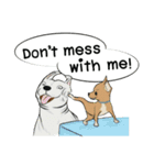 Soi Dog (EN)（個別スタンプ：19）