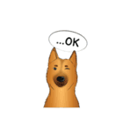 Soi Dog (EN)（個別スタンプ：29）