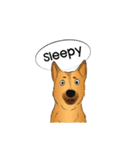 Soi Dog (EN)（個別スタンプ：30）