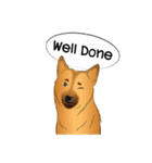 Soi Dog (EN)（個別スタンプ：32）