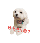 happy or ？？？？（個別スタンプ：2）